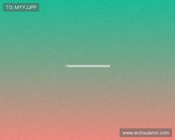 DB真人旗舰集团的安全体系建设详解保障玩家资金与个人信息安全